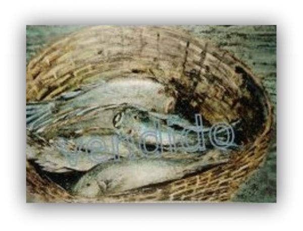 P16  Cesto de peixes